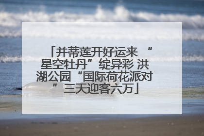 并蒂莲开好运来 “星空牡丹”绽异彩 洪湖公园“国际荷花派对”三天迎客六万