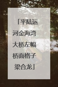 平陆运河金海湾大桥左幅桥面格子梁合龙