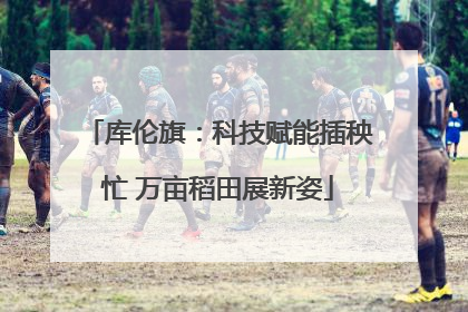 库伦旗：科技赋能插秧忙 万亩稻田展新姿