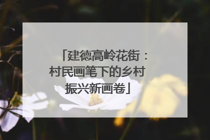 建德高岭花街：村民画笔下的乡村振兴新画卷