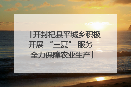开封杞县平城乡积极开展 “三夏” 服务 全力保障农业生产