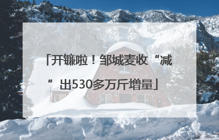 开镰啦！邹城麦收“减”出530多万斤增量