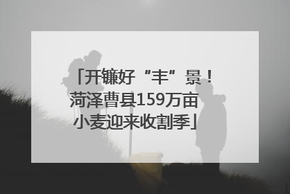 开镰好“丰”景！菏泽曹县159万亩小麦迎来收割季