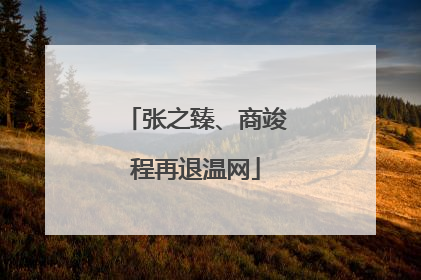 张之臻、商竣程再退温网