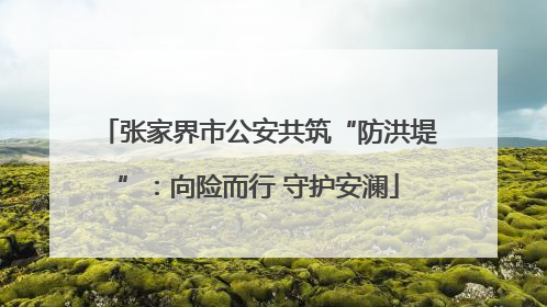 张家界市公安共筑“防洪堤”：向险而行 守护安澜