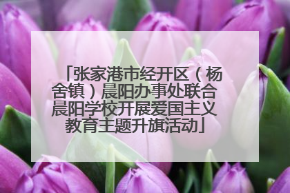 张家港市经开区（杨舍镇）晨阳办事处联合晨阳学校开展爱国主义教育主题升旗活动