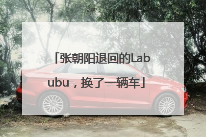 张朝阳退回的Labubu，换了一辆车