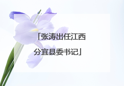 张涛出任江西分宜县委书记