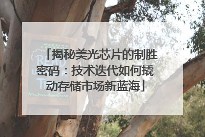揭秘美光芯片的制胜密码：技术迭代如何撬动存储市场新蓝海
