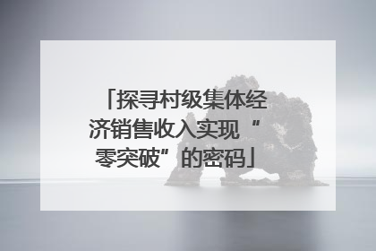 探寻村级集体经济销售收入实现“零突破”的密码