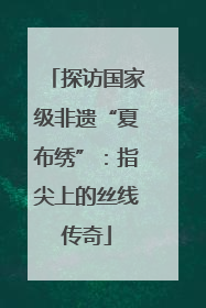 探访国家级非遗“夏布绣”：指尖上的丝线传奇
