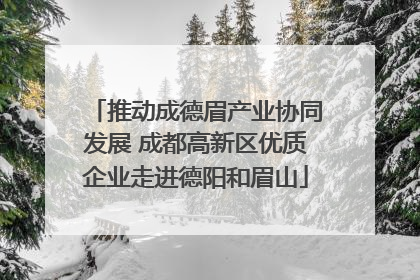 推动成德眉产业协同发展 成都高新区优质企业走进德阳和眉山