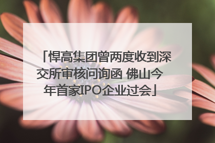 悍高集团曾两度收到深交所审核问询函 佛山今年首家IPO企业过会