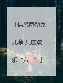 情系尼勒克儿童 共度欢乐“六一”