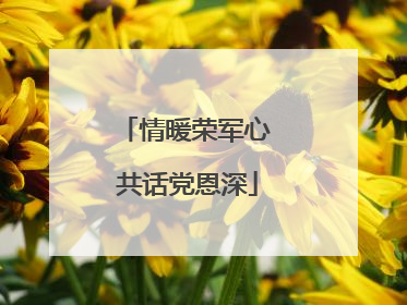 情暖荣军心 共话党恩深