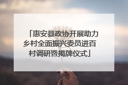 惠安县政协开展助力乡村全面振兴委员进百村调研暨揭牌仪式