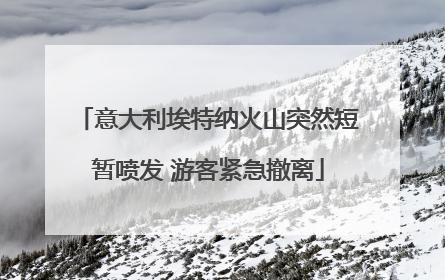 意大利埃特纳火山突然短暂喷发 游客紧急撤离