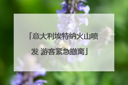 意大利埃特纳火山喷发 游客紧急撤离