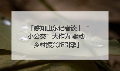 感知山东记者谈丨“小公交”大作为 驱动乡村振兴新引擎