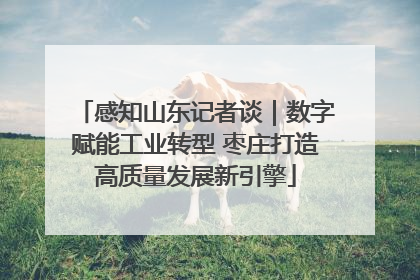 感知山东记者谈｜数字赋能工业转型 枣庄打造高质量发展新引擎