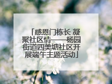 感恩门栋长 凝聚社区情——杨园街道四美塘社区开展端午主题活动