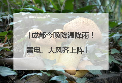 成都今晚降温降雨！雷电、大风齐上阵