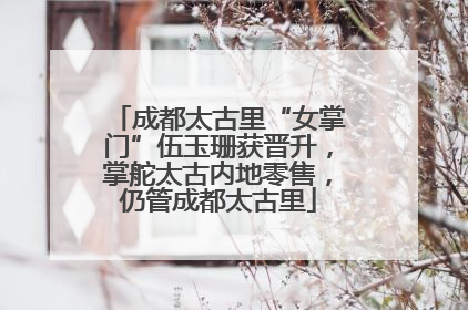 成都太古里“女掌门”伍玉珊获晋升，掌舵太古内地零售，仍管成都太古里