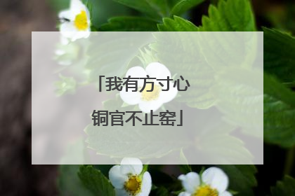我有方寸心 铜官不止窑