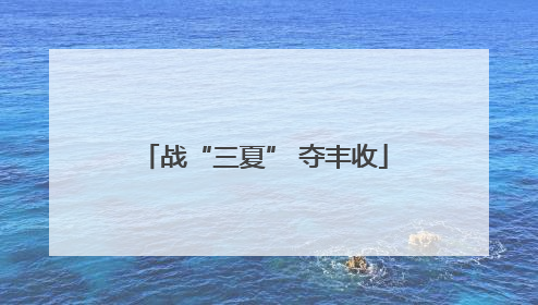 战“三夏” 夺丰收