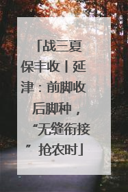 战三夏 保丰收丨延津：前脚收 后脚种，“无缝衔接”抢农时