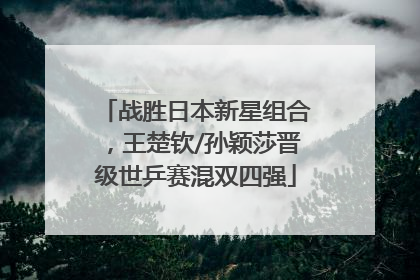 战胜日本新星组合，王楚钦/孙颖莎晋级世乒赛混双四强