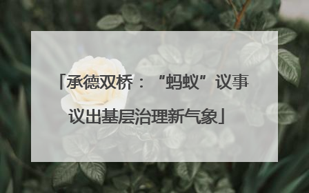 承德双桥：“蚂蚁”议事 议出基层治理新气象
