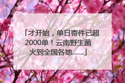 才开始，单日寄件已超2000单！云南野生菌火到全国各地……