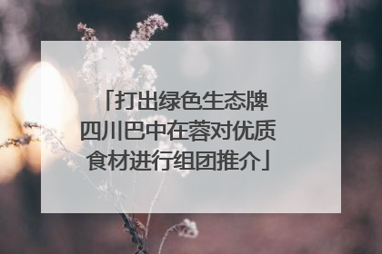 打出绿色生态牌 四川巴中在蓉对优质食材进行组团推介