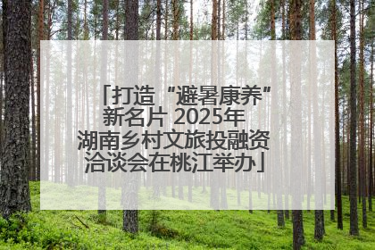 打造“避暑康养”新名片 2025年湖南乡村文旅投融资洽谈会在桃江举办