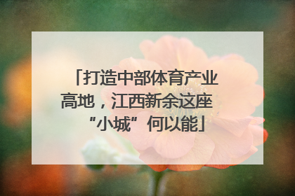 打造中部体育产业高地，江西新余这座“小城”何以能