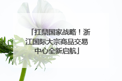 扛鼎国家战略！浙江国际大宗商品交易中心全新启航