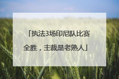 执法3场印尼队比赛全胜，主裁是老熟人