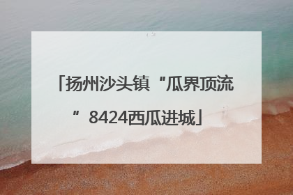 扬州沙头镇“瓜界顶流”8424西瓜进城