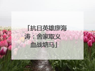 抗日英雄廖海涛：舍家取义 血战塘马