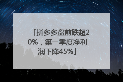 拼多多盘前跌超20%，第一季度净利润下降45%