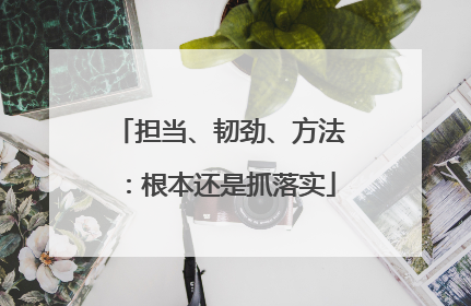 担当、韧劲、方法：根本还是抓落实