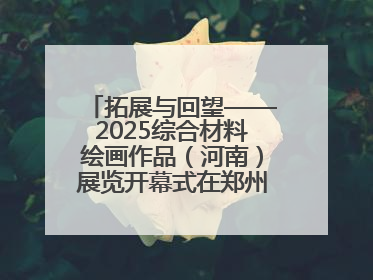 拓展与回望——2025综合材料绘画作品（河南）展览开幕式在郑州美术馆举办