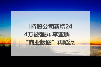 持股公司新增244万被强执 李亚鹏“商业版图”再陷泥潭？｜科技观察