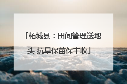 柘城县：田间管理送地头 抗旱保苗保丰收
