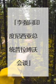 李强同印度尼西亚总统普拉博沃会谈