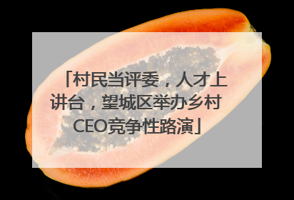 村民当评委，人才上讲台，望城区举办乡村CEO竞争性路演