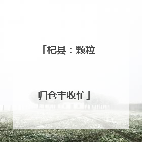 杞县：颗粒归仓丰收忙