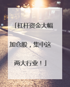 杠杆资金大幅加仓股，集中这两大行业！