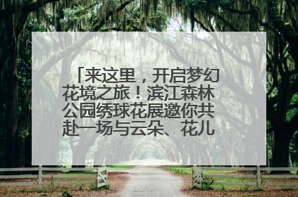 来这里，开启梦幻花境之旅！滨江森林公园绣球花展邀你共赴一场与云朵、花儿的浪漫之约